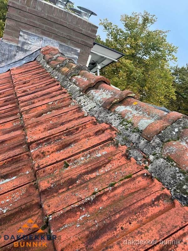 Verweerd hellend dak met mosgroei op nokvorst in Bunnik Verweerd hellend dak met mosgroei op nokvorst in Bunnik