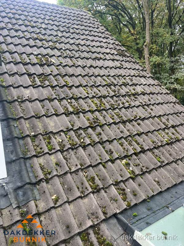 Verweerd pannendak met mosgroei dat renovatie nodig heeft in Bunnik Verweerd pannendak met mosgroei dat renovatie nodig heeft in Bunnik